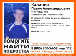 Школьник из Мордовского района пропал без вести
