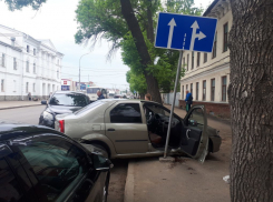 Бездомный пёс спровоцировал серьезное ДТП в центре Тамбова