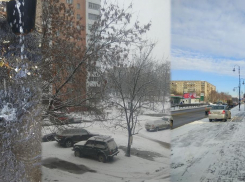 От метели до капели…Чего ждать от погоды в ближайшие дни?