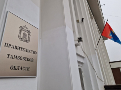 В Тамбовской области создали новый департамент лесного хозяйства