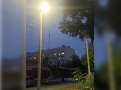 Обещанного полгода ждут: власти Котовска просят горожан подождать до декабря, несмотря на опасность сухих деревьев 