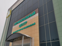 В новогоднюю ночь в Тамбовской области родились 20 детей