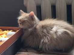 С 28 сентября в Моршанске стартует отопительный сезон