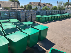 «Тамбовская сетевая компания» закупила 1153 новых мусорных контейнера