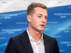 В Кремле отреагировали на инцидент с убийством кота пьяными подростками