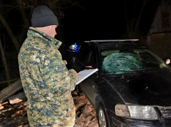 Сбивший насмерть школьницу пьяный тамбовчанин получил восемь лет колонии