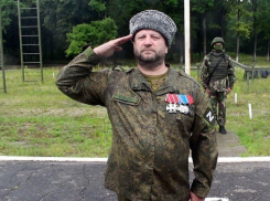 Бывший глава Тамбова награждён четвёртым орденом Мужества