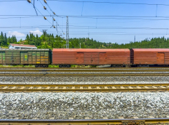 В Первомайском районе женщина выпила «нефанты» и остановила поезд