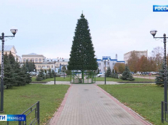 В Тамбове установили первую новогоднюю ёлку