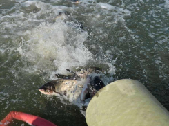 Тамбовчанин выплатит штраф в 144 тысячи за незаконную плотину