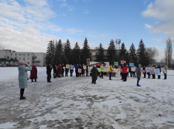 В Дмитриевке прошёл пикет против полигона и местных властей
