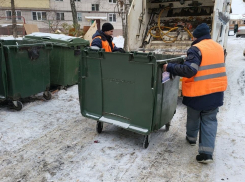 За новогодние праздники тамбовчане выбросили больше 5 тысяч тонн мусора