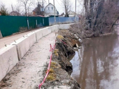 Региональные власти решили всё-таки укрепить берег Цны в дачном массиве в Периксе