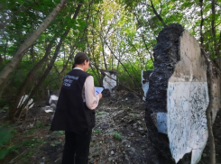 Мичуринский чиновник пойдёт под суд за смерть 10-летнего ребёнка 