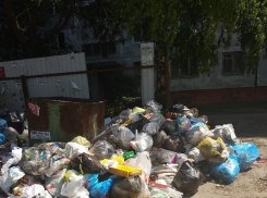 Тамбов «зарастает» мусором из-за нерасторопности управляющих компаний 