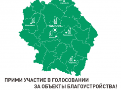 В Тамбовской области подвели итоги голосования за благоустройство территорий