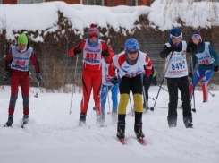 Лыжники от 8 до 60 лет показали класс на стадионе «Динамо»