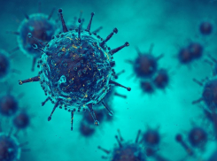 За сутки 136 жителей Тамбовской области заболели коронавирусом