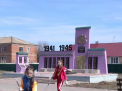 Сиренево-розовый памятник погибшим воинам в Инжавинском районе станет прежним