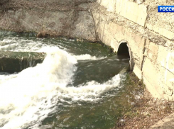 Тамбовские дачники боятся поливать огороды водой из Цны