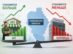 В Тамбовской области становится больше ИП и меньше юрлиц