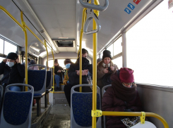 В Тамбове продолжаются масочные рейды в общественном транспорте