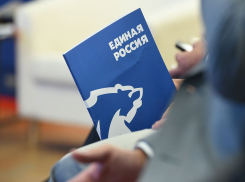 Певец, подозреваемая в мошенничестве, кандидат в Президенты РФ: самые необычные кандидаты на праймериз-2025 «ЕР» в Тамбовской области