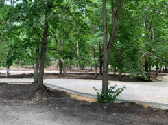 Сроки благоустройства Пионерского парка в Тамбове снова провалены