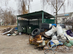 В Тамбовской области появился отдельный телеграм-канал, посвящённый мусору