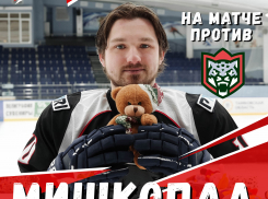 Тамбовских хоккеистов забросают мягкими игрушками в «Кристалле»