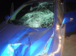 За минувшие майские праздники тамбовские автолюбители совершили 4 наезда на пешеходов, в том числе на 2-х детей