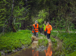 Волонтеры “Лиза Алерт” смогут искать пропавших людей с помощью дронов
