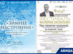 Выставочно-концертная программа последних январских дней в Тамбове
