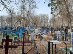 Тамбовские полицейские обнаружили ещё один эпизод краж памятников с Полынковского кладбища