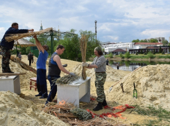 Все 11 тамбовских пляжей получили названия и готовятся к наплыву отдыхающих
