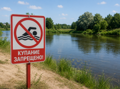 На семи пляжах Тамбова не советуют купаться