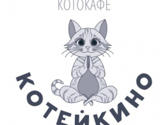 В Тамбове готовят к открытию котокафе