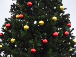 На новогоднее оформление Тамбова потратят 4,5 млн рублей, заказав искусственную ёлку