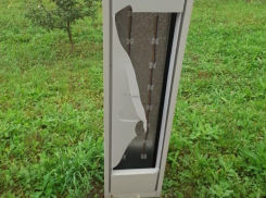 В Мичуринске бессердечные вандалы разбили «Аллею любви»