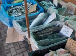 В Тамбовской области на ярмарках торговали продуктами неизвестного происхождения