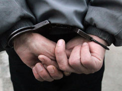 Дело грабителя с Новой Ляды, которого задержали две женщины, передано в суд 