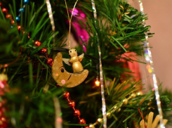 На московских ёлочных базарах тамбовские ели конкурируют с датскими 