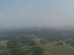 Тамбов накрыло смогом из-за лесных пожаров в Рязанской области