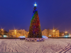 «Ёлочка, зажгись!» На 6 миллионов 335 тысяч украсят Тамбов к Новому году 