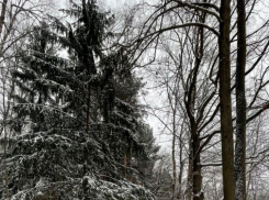 Выходные в Тамбове будут снежными и тёплыми