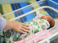 Молодые тамбовские родители в июне называли своих детей Верониками, Варварами, Артёмами, Леонами и Луками