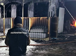 Пожары в Тамбовской области за неделю унесли жизни пяти человек