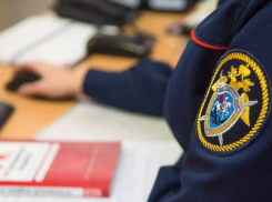 Следователи начали проверку по факту гибели двух мужчин в пожаре в Раде