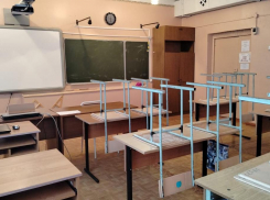 Тамбовских школьников из-за гриппа и ОРВИ переводят на дистанционное обучение