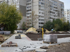 Сквер на Рылеева, 100 в Тамбове могут сдать в середине октября